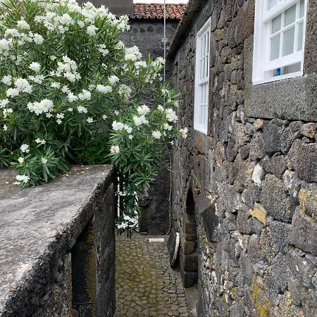Nocleg ze śniadaniem Casa Barcas - Th São Roque do Pico